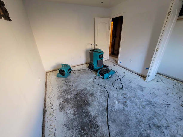 Best Flooded house restoration  in Funny River, AK