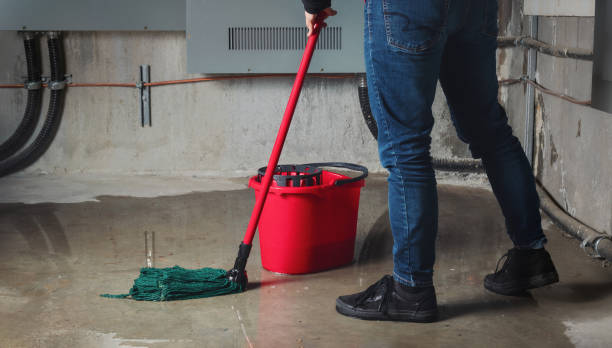 Best Water damage restoration near me  in Funny River, AK
